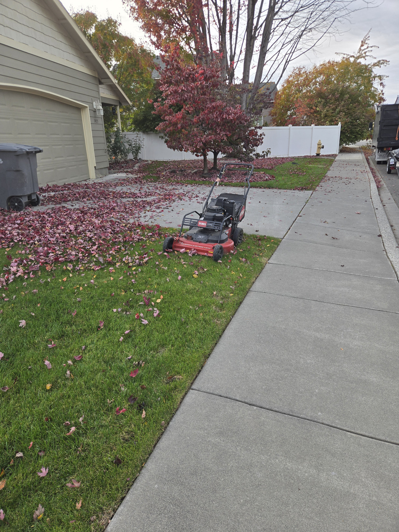 Fall Lawn Care