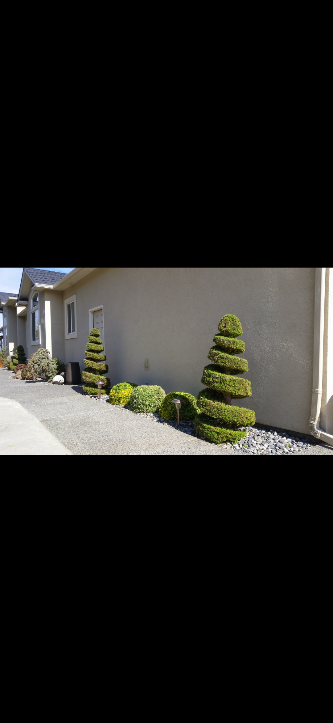 Decorative Topiary