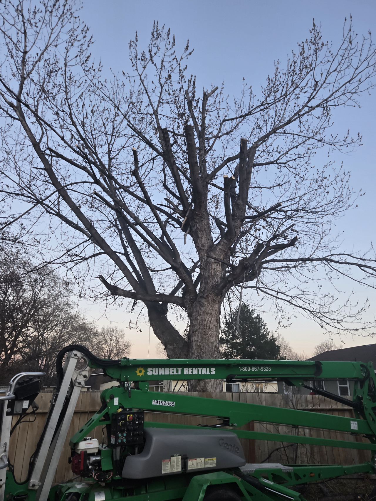 Professional Equipment